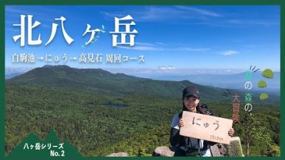 【北八ヶ岳登山】白駒池→にゅう→高見石の周回コースを日帰りで満喫！！