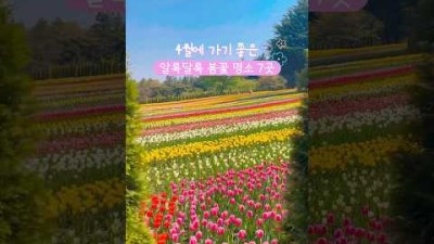 봄꽃 가득한 4월의 국내여행지 추천???? #봄여행 #봄여행지 #국내여행 #국내여행지추천 #국내가볼만한곳 #한국여행 #겹벚꽃 #튤립