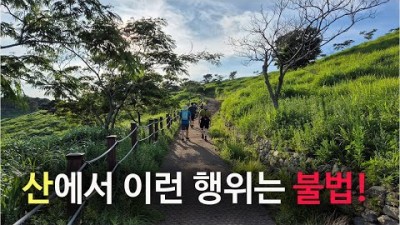 [박영준TV] 산에서 해서는 안되는 불법 행위들 | 산림보호법 | 자연공원법 |