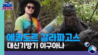 [ENG SUB] 원지 - 에콰도르 - 4라운드 Part 2 ????✈ │지구마불 세계여행 | TEO