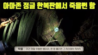 오늘 아마존 정글 한복판에서 죽을 뻔 했습니다. ???????? [13] 세계여행 에콰도르